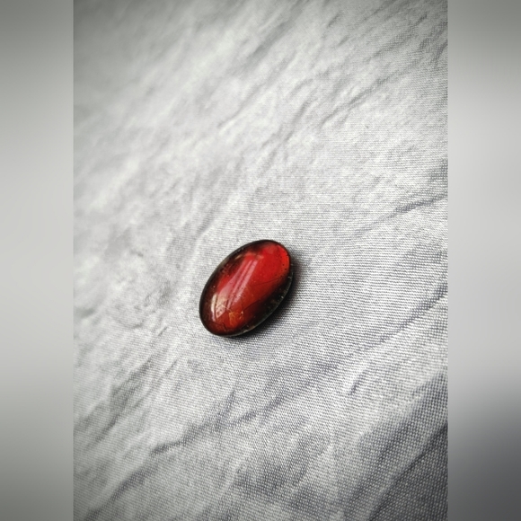 AMMOLITE - Picture 3 of 5